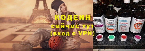 индика Богданович