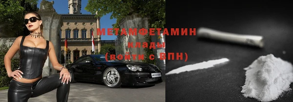 индика Богданович