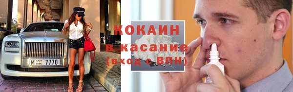 индика Богданович