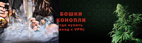 сатива Богородицк