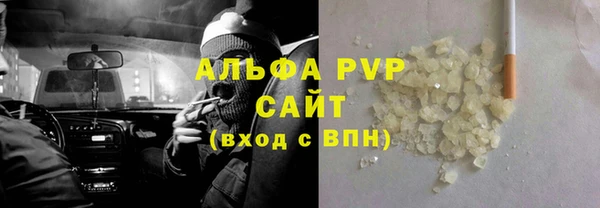 индика Богданович