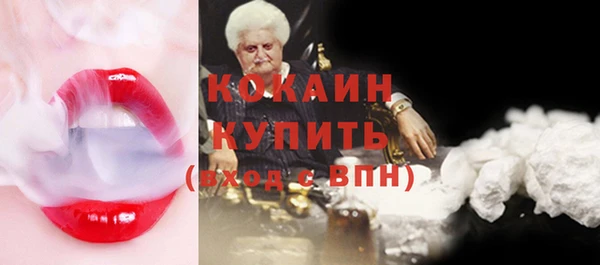 индика Богданович