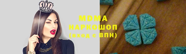 индика Богданович
