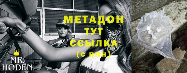 хмурый Пересвет