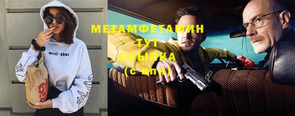 индика Богданович