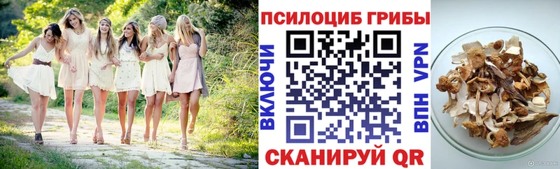 купить закладку Верхняя Пышма Псилоцибиновые грибы мухоморы